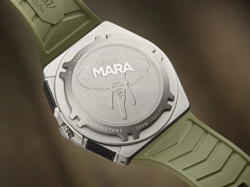 Mara Safari Chronograph 6451-53 — 表背